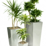 3-silver-pots